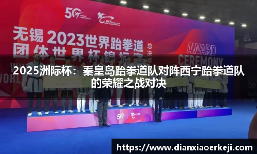2025洲际杯：秦皇岛跆拳道队对阵西宁跆拳道队的荣耀之战对决