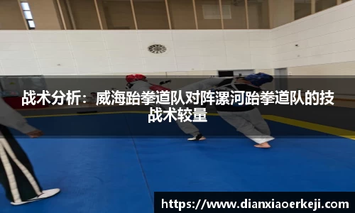 战术分析：威海跆拳道队对阵漯河跆拳道队的技战术较量