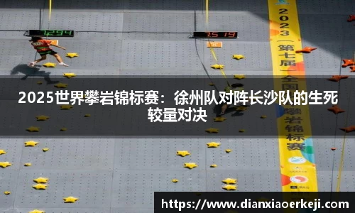 2025世界攀岩锦标赛：徐州队对阵长沙队的生死较量对决
